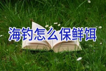 海钓怎么保鲜饵