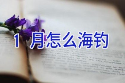 1月怎么海钓