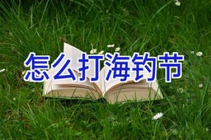 怎么打海钓节