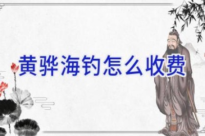 黄骅海钓怎么收费