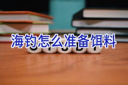 海钓怎么准备饵料