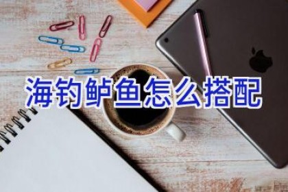 海钓鲈鱼怎么搭配