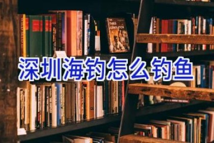 深圳海钓怎么钓鱼