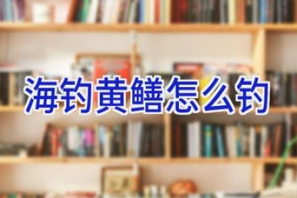 海钓黄鳝怎么钓