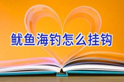 鱿鱼海钓怎么挂钩