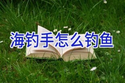 海钓手怎么钓鱼
