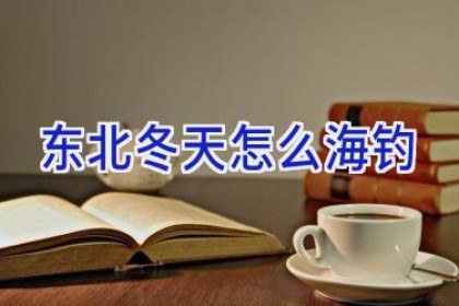 东北冬天怎么海钓