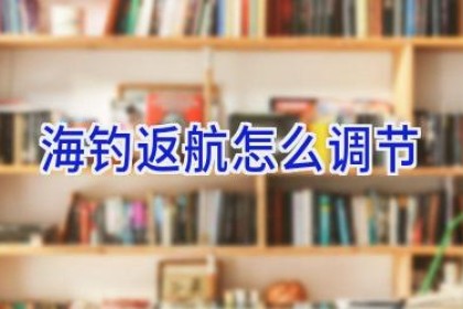 海钓返航怎么调节