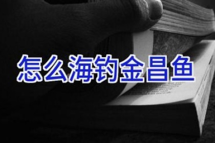怎么海钓金昌鱼