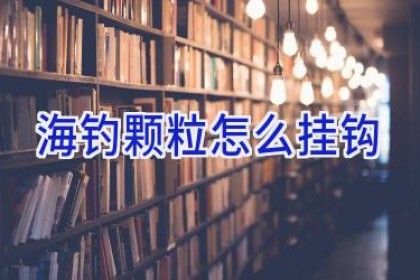 海钓颗粒怎么挂钩