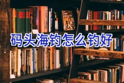 码头海钓怎么钓好