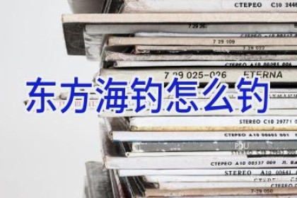 东方海钓怎么钓