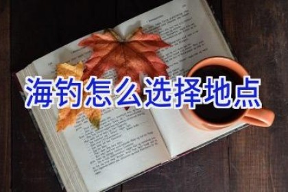海钓怎么选择地点
