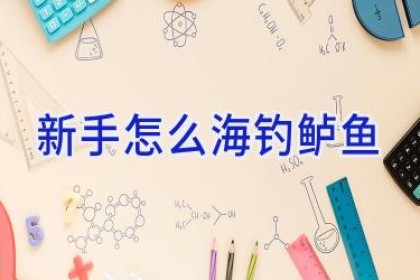 新手怎么海钓鲈鱼