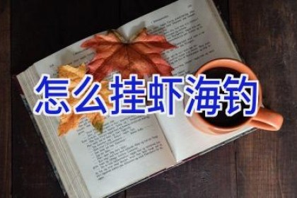 怎么挂虾海钓