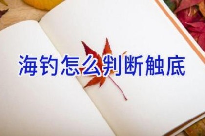 海钓怎么判断触底