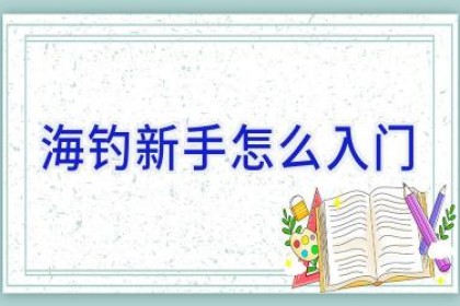 海钓新手怎么入门