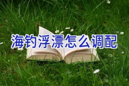 海钓浮漂怎么调配