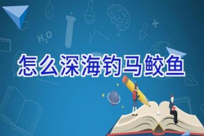 怎么深海钓马鲛鱼