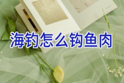 海钓怎么钩鱼肉