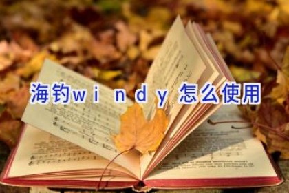 海钓windy怎么使用