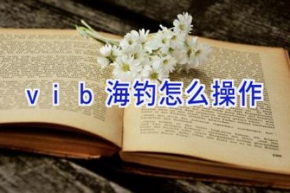 vib海钓怎么操作