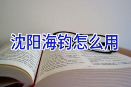 沈阳海钓怎么用