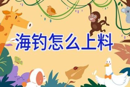 海钓怎么上料
