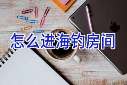 怎么进海钓房间