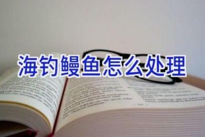海钓鳗鱼怎么处理