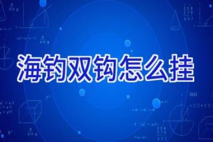 海钓双钩怎么挂