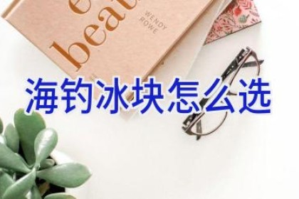 海钓冰块怎么选