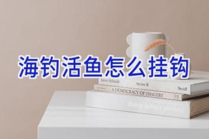 海钓活鱼怎么挂钩