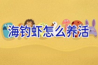 海钓虾怎么养活
