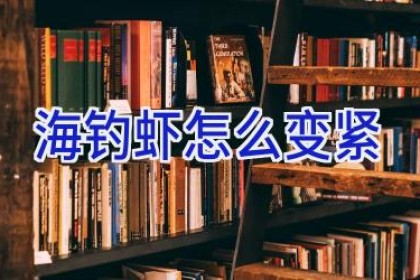 海钓虾怎么变紧