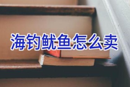 海钓鱿鱼怎么卖