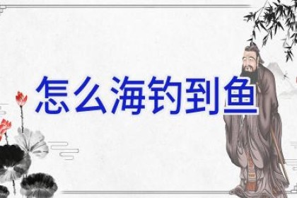 怎么海钓到鱼