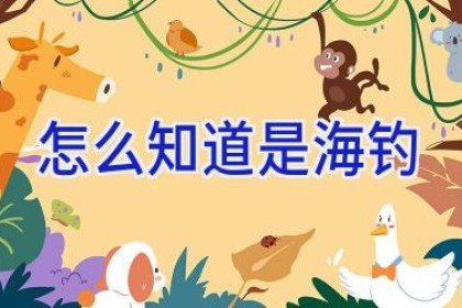 怎么知道是海钓