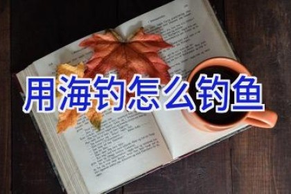 用海钓怎么钓鱼