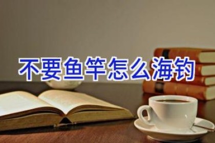 不要鱼竿怎么海钓