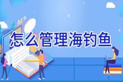 怎么管理海钓鱼