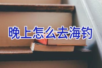 晚上怎么去海钓