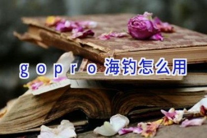 gopro海钓怎么用