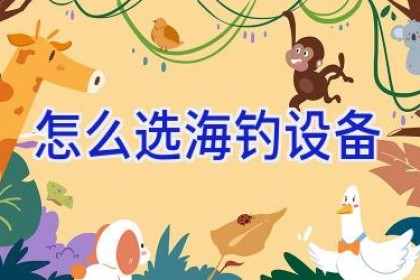 怎么选海钓设备