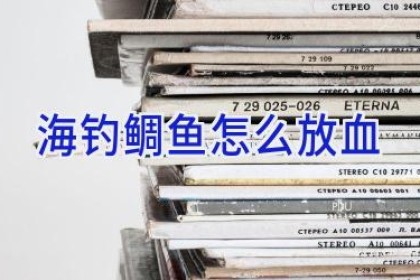 海钓鲷鱼怎么放血