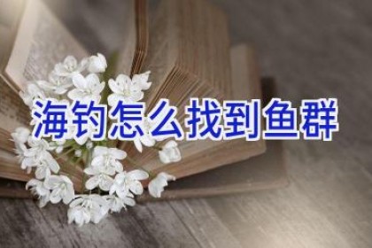 海钓怎么找到鱼群