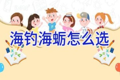 海钓海蛎怎么选