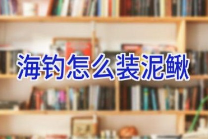 海钓怎么装泥鳅