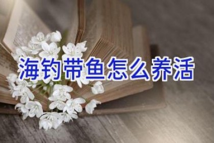 海钓带鱼怎么养活