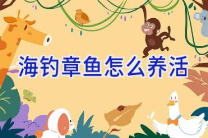 海钓章鱼怎么养活
